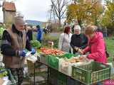 [FOTO] Dziesiątki dostawców, rozmaite produkty i jesienna sceneria. Tłumy na listopadowym Targu Ziemi w Kraskowie