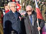 [FOTO] Strzegom obchodził 105. rocznicę odzyskania niepodległości