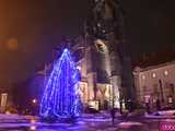 [FOTO] Świąteczny klimat w sercu miasta. Rozbłysły choinki i bożonarodzeniowe iluminacje