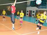 [FOTO] Dziewczyny z klas 7-8 rywalizowały w turnieju siatkówki