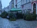 [WIDEO, FOTO] Wystartował świdnicki Jarmark Bożonarodzeniowy! Do kiedy można odwiedzić stoiska?