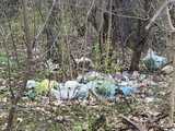 [FOTO] Dziesiątki worków zapełnionych odpadami. Trwa porządkowanie zaśmieconych terenów miasta