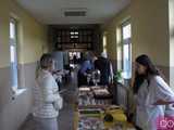 galeria