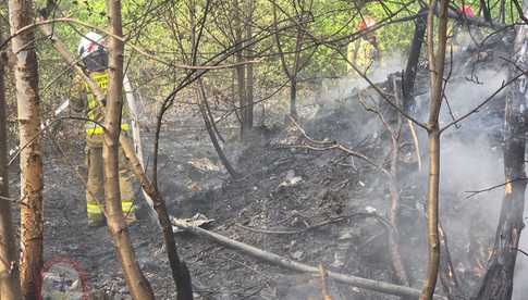 [FOTO] Pożar traw i pozostałości roślinnych przy ul. Kopernika