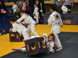 [FOTO] Rywalizowali w Super Lidze Judo w Świebodzicach