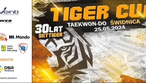 25.05, Świdnica: Zawody Tiger Taekwon-do CUP