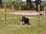 [FOTO] Rywalizowali w Gminnych Zawodach Sportowo-Pożarniczych w Imbramowicach