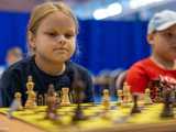 [FOTO] Szachiści opanowali halę sportowo-edukacyjną
