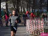 maraton