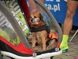 maraton