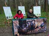 [WIDEO, FOTO] Trzy nowe rezerwaty przyrody na Dolnym Śląsku. Jeden z nich znajduje się na terenie naszego powiatu