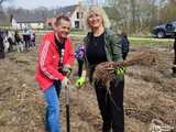 [FOTO] Wspólnie sadzili las w Jaworzynie Śląskiej