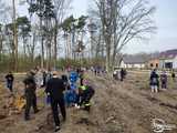 [FOTO] Wspólnie sadzili las w Jaworzynie Śląskiej