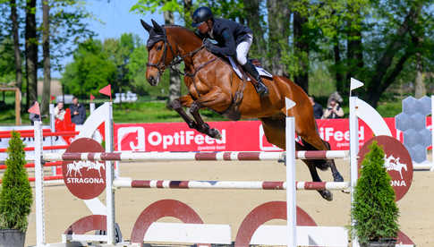 Podsumowanie Strzegom Spring Open II
