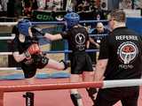Medalowy weekend fighterów