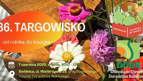 7.06, Świdnica: Targowisko Od rolnika do koszyka