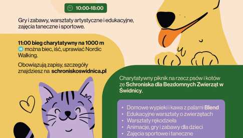 29.06, Świdnica: Festiwal Mokrych Nosków i bieg charytatywny