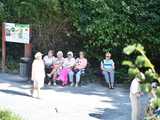[WIDEO/FOTO] Zgrane wypełniły muzyką Park Młodzieżowy