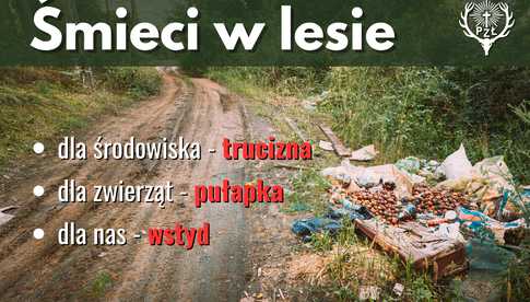 Zwierzęta nie śmiecą. Ludzie tak!. Dlaczego śmieci w lesie to nie tylko brzydki widok?