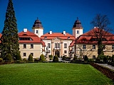grafika