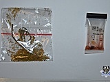 grafika