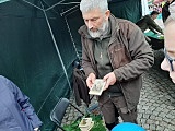 grafika
