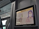 grafika
