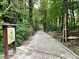 Trwa kolejny etap rewitalizacji parku Jana III Sobieskiego [Foto]