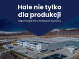 grafika 