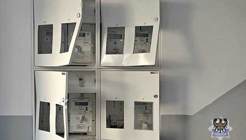 grafika