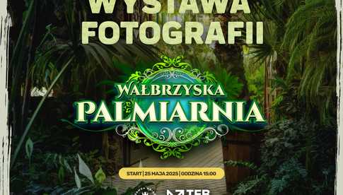 grafika