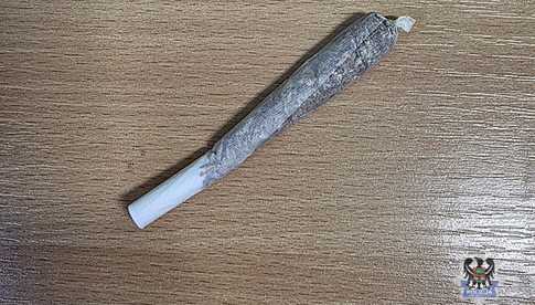 grafika