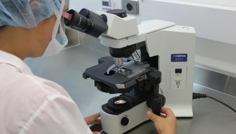 Uniwersytet Medyczny we Wrocławiu pomoże w poszukiwaniach leku na SARS-CoV-2