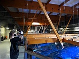 zoo