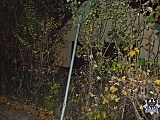 policja