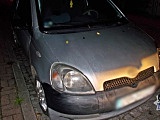 policja