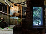 terytorium