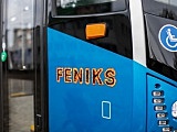 feniks