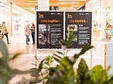 grafika