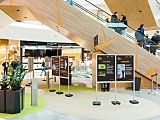 grafika