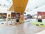 grafika