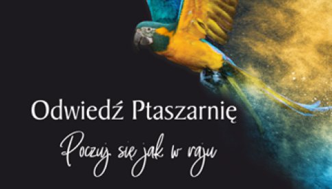 Półkolonie 2021 w ZOO Wrocław