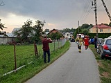 grafika