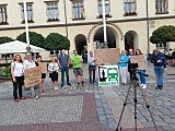 grafika