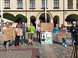 grafika
