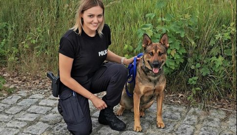 Policyjny pies Orgin pomógł w uratowaniu 32-latka