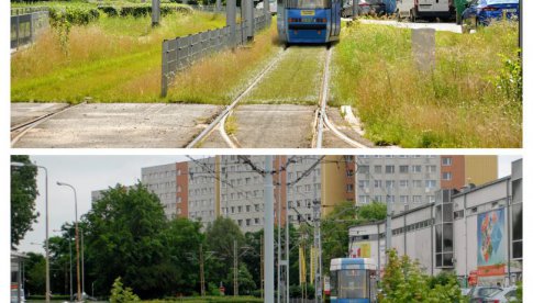 Zielone torowisko na ul. Żmigrodzkiej