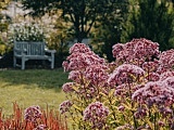 W ostatnie dni wakacji zapraszamy do Arboretum w Wojsławicach