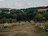 W ostatnie dni wakacji zapraszamy do Arboretum w Wojsławicach