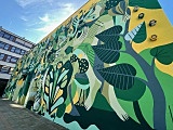 [FOTO] Mural UPWr to nie tylko dzieło sztuki, ale i hotel dla pszczół!